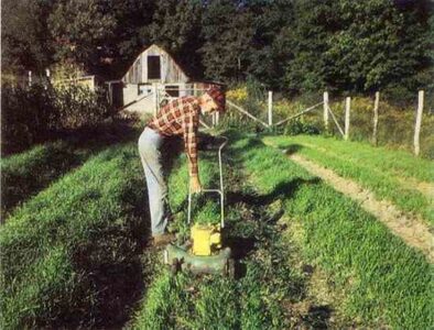 Better Soil Drainage Cured My Soggy Garden Image